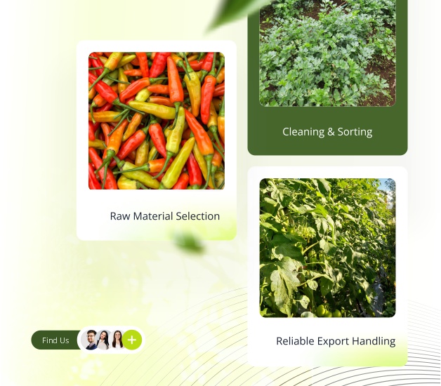 Cami Agrikultur Indonesia