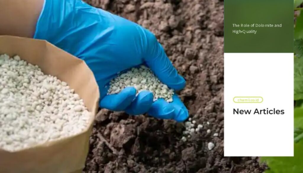 The Role of Dolomite and High-Quality Commodities in Improving Farm Productivity